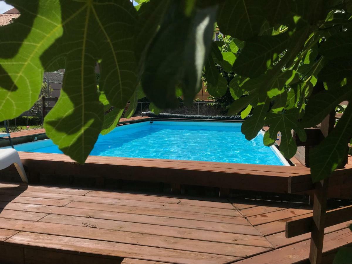Villa Albori B&B Villa Opicina Bagian luar foto